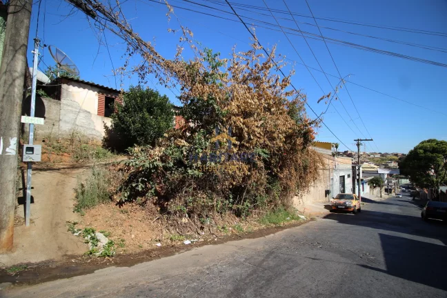 Imagem Excelente lote no Bairro Mineirão/BH