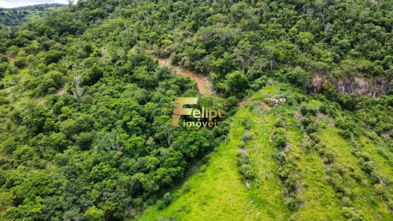 Imagem LINDA FAZENDA A 70KM DE COLATINA!