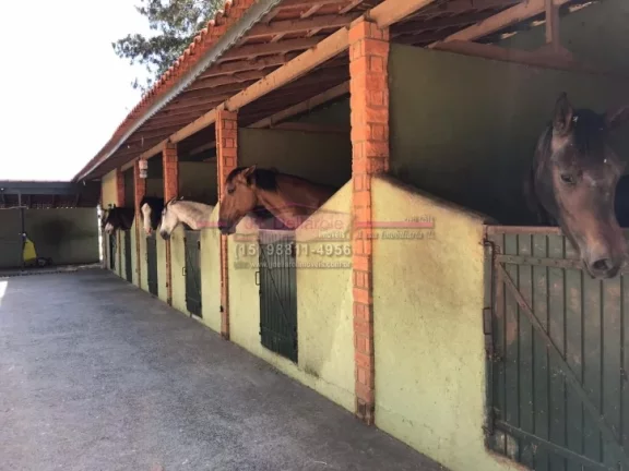 Imagem Venda de Haras com 08 alqueires