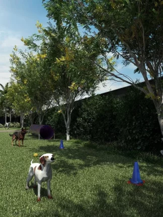 Imagem DUQ Central Houses