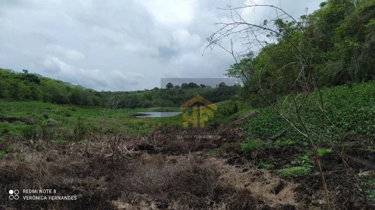 Imagem Fazenda com terreno de 14.888 hectares à venda em Paudalho, Pernambuco