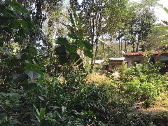 Imagem LINDA ÁREA DE 32.500M² EM UBATUBA, FACÍL ACESSO... OPORTUNIDADE.