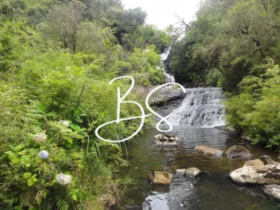 Imagem SITIO RURAL em URUBICI - SC, Urubici