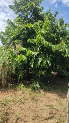 Imagem Chácara a venda com 03 dormitórios, Bairro Água Branca - Boituva/Sp