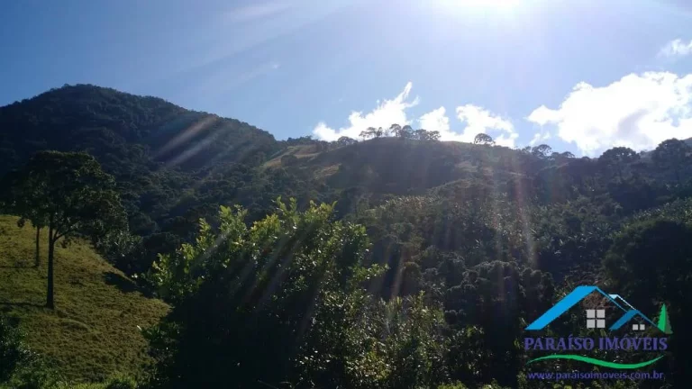Imagem Área de Mata Compensação Ambiental ou Crédito de Carbono S. da Mantiqueira!