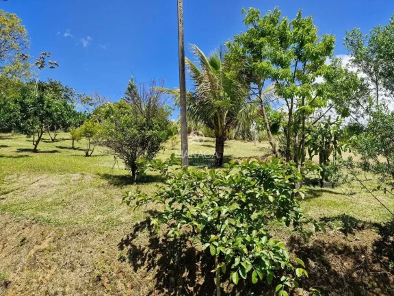 Imagem chácara casa 2 quartos terreno 3.000m² Medeiros