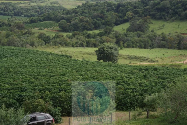 Imagem Fazenda com 140.000 pés de café produzindo, a 20 km de Jacuí Minas Gerais, casa de caseiro, energia e água.