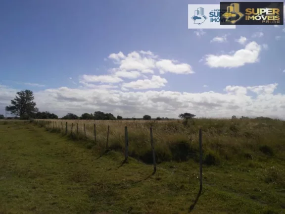 Fazenda para Venda em Quinta Rio Grande-RS - 1455