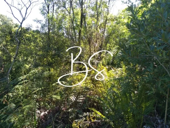Imagem SITIO RURAL em IGREJINHA - RS, Serra Grande