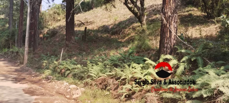 Imagem Terreno a Venda na Região do Alto da Boa Vista em Campos do Jordão -SP.