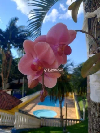 Imagem Chácara à venda, 2380 m² por R$ 1.200.000,00 - Pic Nic Center - Mairiporã/SP
