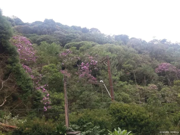Imagem Sítio para Venda em Ribeirão Pires, Somma, 3 dormitórios, 1 suíte, 2 banheiros, 10 vagas