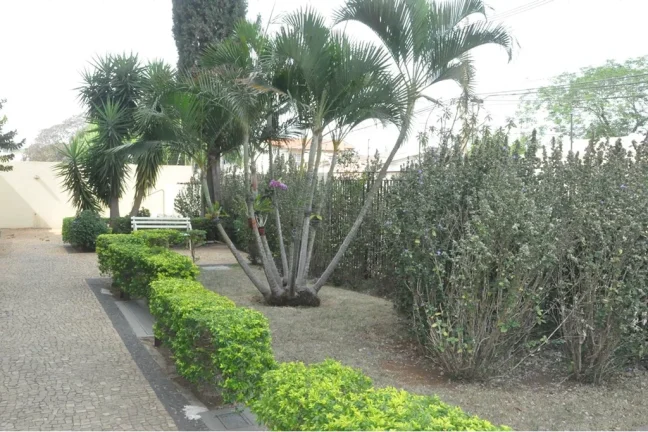 Imagem APARTAMENTO RESIDENCIAL em Campinas - SP, Vila Costa e Silva