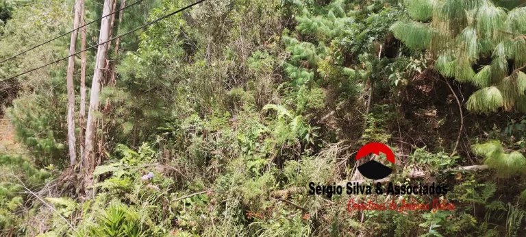 Imagem Terreno a Venda na Região do Villa inglesa em Campos do Jordão -SP.