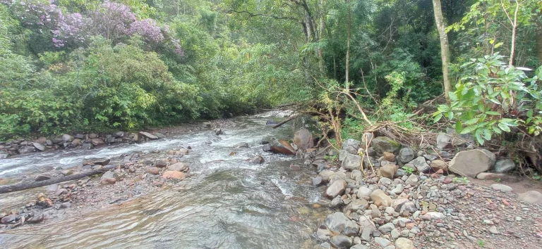 Imagem Área rural à venda em Santa Rosa de Lima/SC
