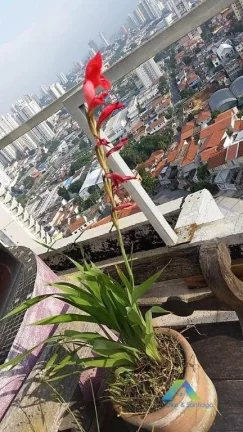 Imagem Linda Cobertura toda reformada com decoração moderna a 5 minutos da estação do metro Praça da Arvore.
