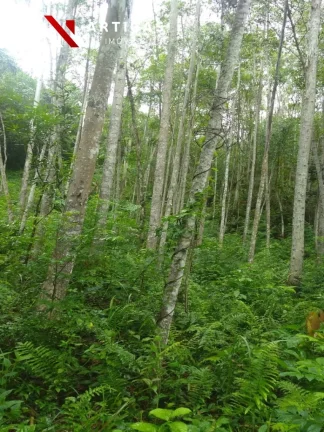 Imagem Sítio á venda 7,2 Hectares Oportunidade