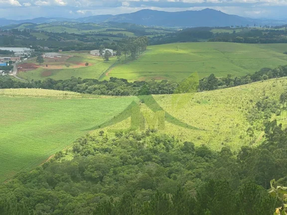 Imagem Fazenda de 75 Alqueires às Margens da Rodovia Fernão Dias Bragança Paulista
