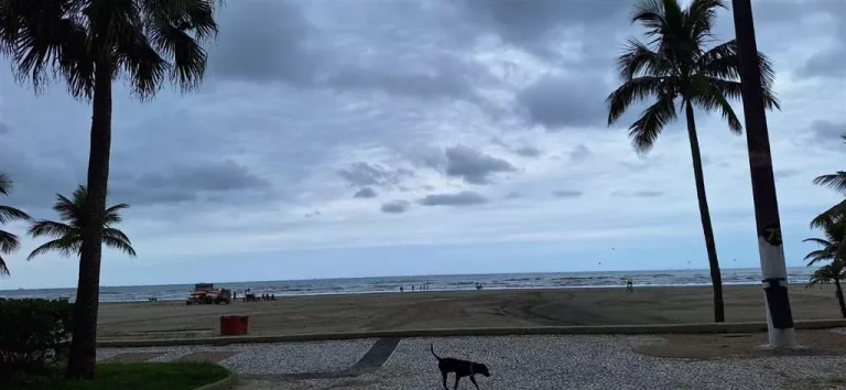 Imagem Apartamento à Venda em Aviação, Praia Grande - SP