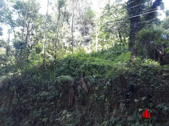 Imagem Terreno a Venda na Região do Capivari em Campos do Jordão - SP