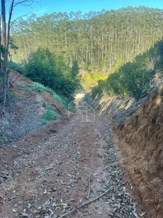 Imagem Chácara em Paraju 1280 metros