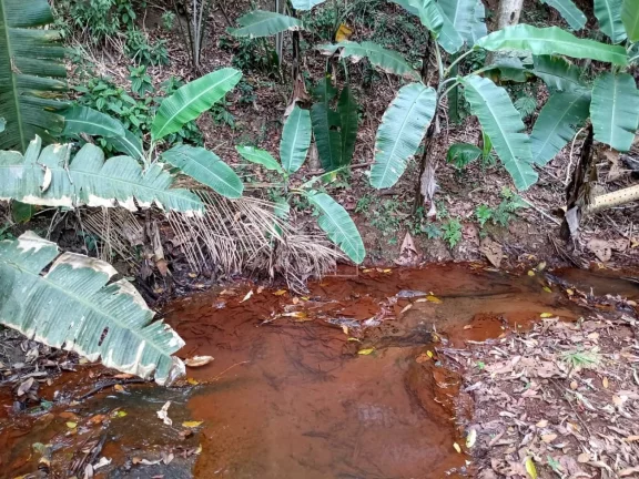 Imagem Chácaras em Santa Teresa 3000 metros