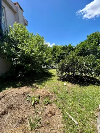Ótimo terreno para investimento!