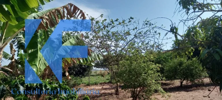 Imagem CHACARA TEMPORADA em BOFETE - SP, Agua Fria