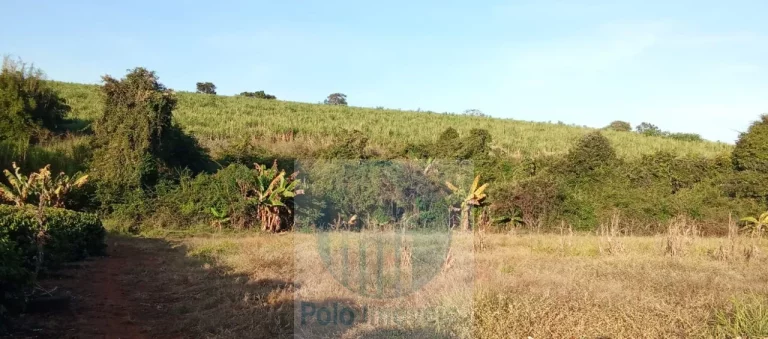 Imagem Chácara 10.000 metros R$ 350.000 em Santo Antônio da Alegria - SP.