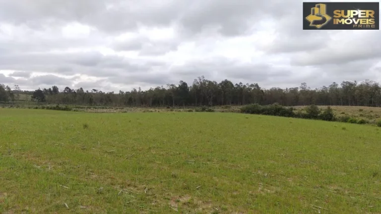 Imagem Fazenda Espetacular no Capão do Leão-RS próximo de Pelotas