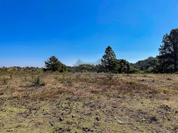 Imagem Terreno 5.268 m² no Alto da Boa Vista em Campos do Jordão com ZR3