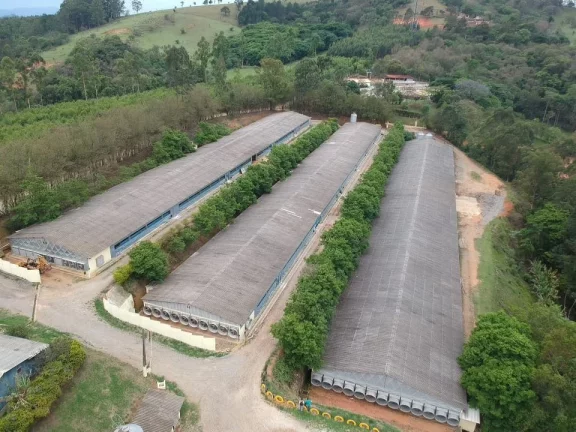 Imagem Rural a Venda no bairro Boa Vista dos Silva - Bragança Paulista, SP