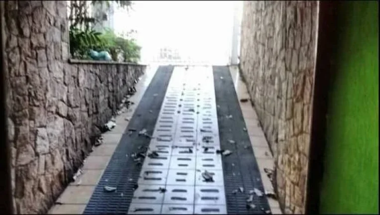 Imagem Excelente Sobrado de 4 Dormitórios no Jardim Vila Formosa