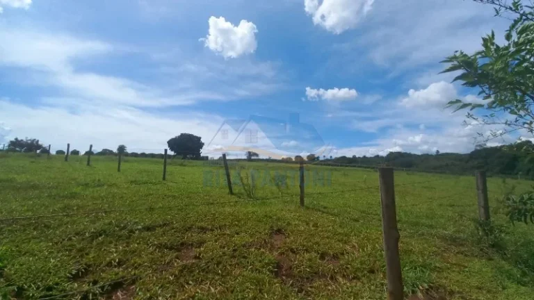 Imagem Rancho - Santo Antônio da Alegria - Poção