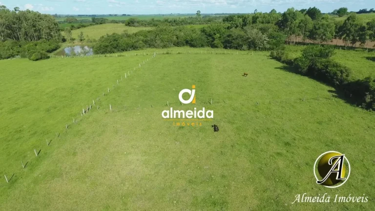 Imagem Chácara com 6,2 ha