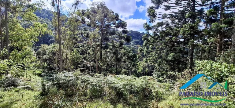 Imagem Viva o sonho na Serra da Mantiqueira neste aconchegante terreno!