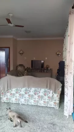 Imagem 3CASAS NO TERRENO+1 CASA DE 3 QUARTOS MUITO AMPLA COM SUÍTE+8VAGAS