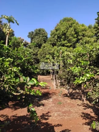 Imagem Chácara à venda próximo à Delta: seu refúgio rural na cidade