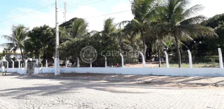 Imagem Chacara a venda em são josé de mipibu - BR 101