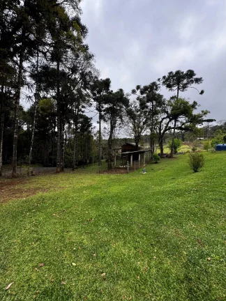 Imagem Chácara com 15.000 m² em Salto do Engenho | Campo Alegre/SC