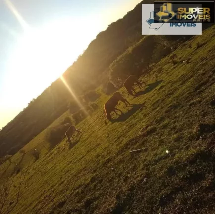 Imagem Sítio para Venda em Centro Morro Redondo-RS - 1645