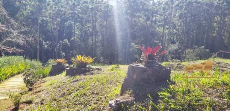 Imagem Terreno à venda, 1300 m² por R$ 1.250.000,00 - Campos Do Jordão - Campos do Jordão/SP
