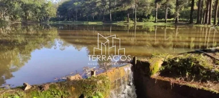Imagem PESQUEIRO COM 4 LAGOS NA CIDADE DE CAMPO LIMPO PAULISTA.