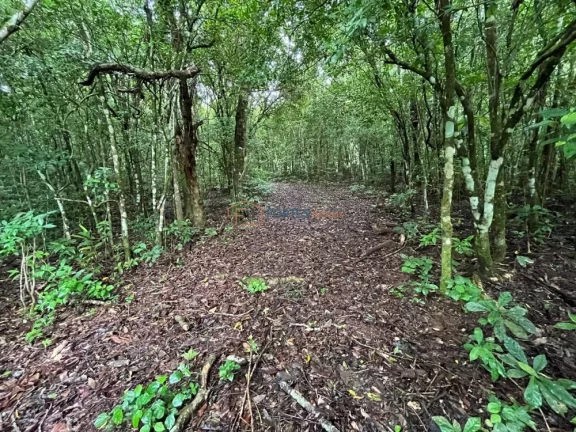Imagem Hectares no Sul, Area de terra no RS, Hectare em maquine, RS