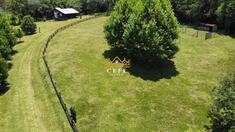 Imagem Chácara - Sítio com 6 Dormitorio(s) localizado(a) no bairro Nova Renania em Santa Maria do Herval / RIO GRANDE DO SUL Ref.:1599