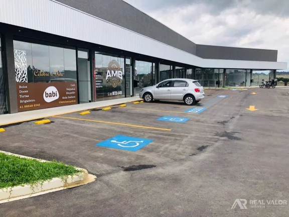 Imagem Comercial, Eucaliptos - Fazenda Rio Grande