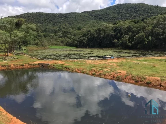 Imagem Chácara a venda, com 02 excelente Barracões novos, em Mandirituba/Tijucas do Sul PR