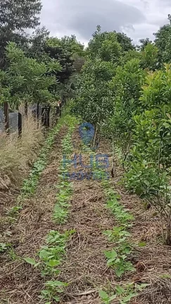 Imagem Sítio com 5.402m2, casa com 3 dormitórios , Vila Rural Unidos - Laranjeiras do Sul/PR
