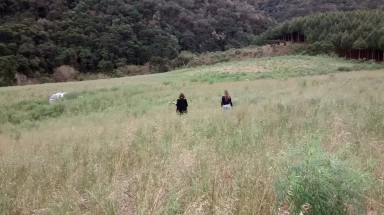 Imagem Terreno na Serra Catarinense: 128.494m² em Bom Retiro-SC, Escritura Pública, Imperdível!