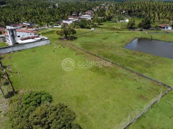 Imagem ÁREA Á VENDA EM NISIA FLORESTA